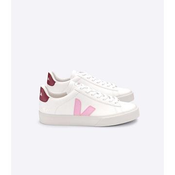 Men's Veja CAMPO CHROMEFREE Low Tops Sneakers White/Pink | SG 193WNB